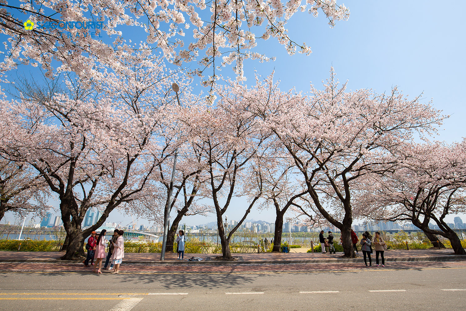 Du Lịch Hàn Quốc [Busan - Seoul] (Làng Gamcheon - Tàu Sky Capsule - Everland - Bảo Tàng Nghệ Thuật - Đảo Nami - Chùa Yogyesa - Hoa Anh Đào - Painter Heros Show)