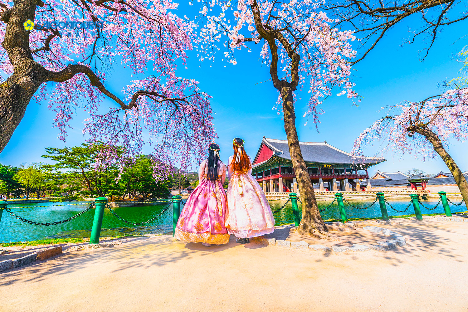 Du lịch Hàn Quốc [BUSAN – SEOUL – EVERLAND] (Trải nghiệm đi tàu siêu tốc KTX Busan – Seoul)